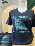 It is What it is and it is Not Great BLACK T-SHIRT - Raccoon Shirt - Funny Tee Hoodie, Sweatshirt | GrindPrints.com