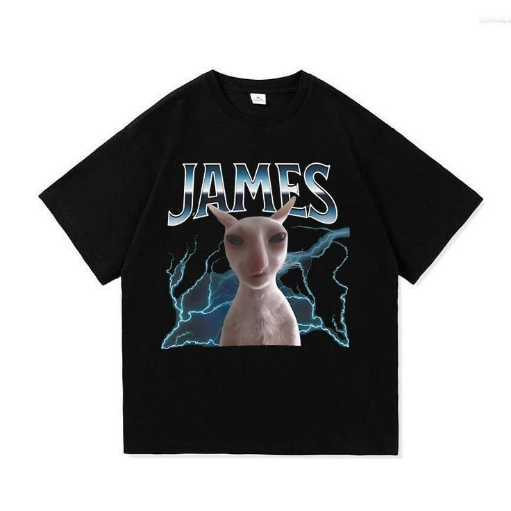 James Funny Cat Meme Unisex T-Shirt - Unisex Graphic Tee S-3XL Hoodie, Sweatshirt | GrindPrints.com