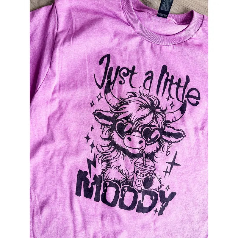 Just A Little Moody Graphic Tee Hoodie, Sweatshirt | GrindPrints.com