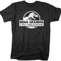Men's Funny Grandpa T-Shirt, Father's Day Gift Being Grandpa Is A Walk In The Park Shirt, Dinosaur Tee,T Rex Shirt Cotton...