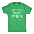 Mens Property of the Irish T Shirt Funny St Patricks Day Cool Saint Paddy Tee Outfit Graphic Mens Funny T Shirts Cool...