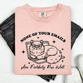 None Of Your Emails Are Finding Me Well, Cat, Work, Office, Funny, Sassy, Sarcastic Tshirt, Women's Comfort Colors Tee...