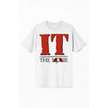 PacSun Women's IT The Movie 1990 T-Shirt Hoodie, Sweatshirt | GrindPrints.com