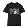Pretty Cat Shirt, Literally Me Shirt, Cool Cat Meme Shirt, Cat Gift Shirt Hoodie, Sweatshirt | GrindPrints.com