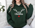 Reindeer Hoodie, Christmas Deer Hoodie, Merry Christmas, Christmas Hoodie, Funny Christmas, Christmas Holiday, Family...