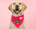 Santa'S Favorite Dog Bandana Dog Neck Scarf Pet Xmas Bandana New Puppy Scarf Dog Accessories T-Shirts, Hoodie, Sweatshirt