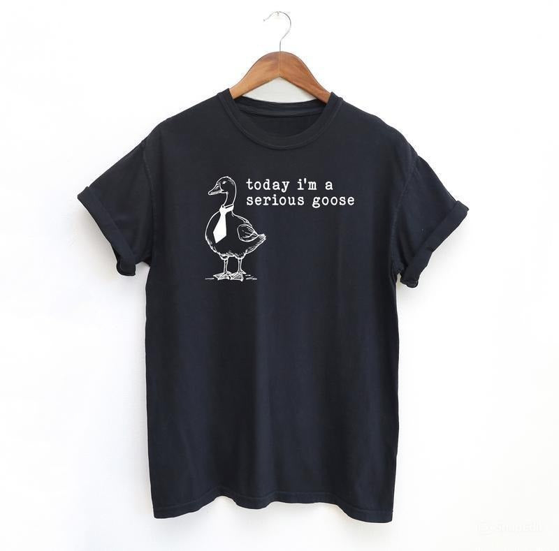 Serious Goose Funny Shirt, Meme Shirt, Menswear T-Shirt Hoodie, Sweatshirt | GrindPrints.com