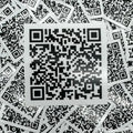 Show Me Them Ts Sticker! T-Shirts, Hoodie, Sweatshirt | GrindPrints.com