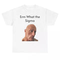 Sigma Heavy Cotton Tee, Retro 90s Graphic T-shirt, Funny Dumb Tee, Meme Shirt, Menswear Womenswear Streetwear, Graphic...