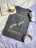 Song Of Achilles T-Shirt Achilles Patroclus Academia Clothing Bookish Booktok Dark Academia Greek Mythology Light...