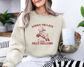 Sorry I'm Late I Was Dilly Dallying Tshirt Sweatshirt Hoodie, Baby Lamb Sheep Hoodie, Cute Sheep Shirt, Funny Animal,...