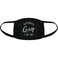 Sounds Gay I'm In Face Mask Funny Pride Month LGBTQ Novelty Nose And Mouth Covering Funny Masks for Adults Funny Pride ...
