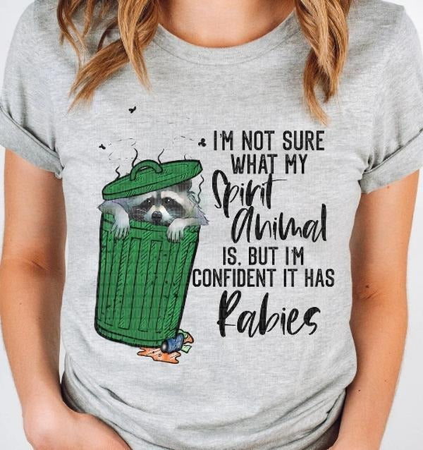 Spirit Animal Has Rabies Raccoon DTF Transfers - THIS IS NOT A SHIRT Hoodie, Sweatshirt | GrindPrints.com
