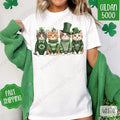 St Patrick Cats Shirt Gildan, St Patrick's Day Women's Tee, Cute Women's Tshirt Plus Sizes Hoodie, Sweatshirt