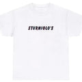 Sturniolo's T Shirt Sturniolo Triplets Merch Tour Matt Chris Tee Hoodie, Sweatshirt | GrindPrints.com