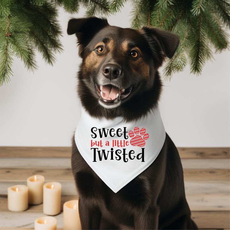 Sweet But A Little Twisted Dog Bandana, Christmas Dog Bandana, Puppy Owner Xmas Gift Neck Scarf, Funny Holiday Pet Owner...