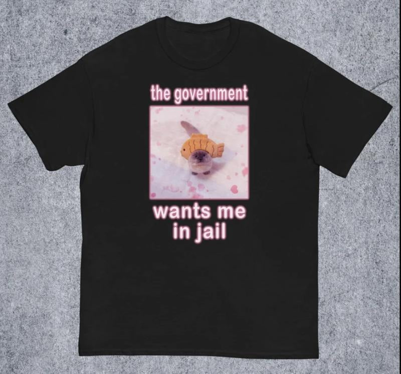 The Government Wants Me in Jail Funny Cat Meme T-shirt Hoodie, Sweatshirt | GrindPrints.com