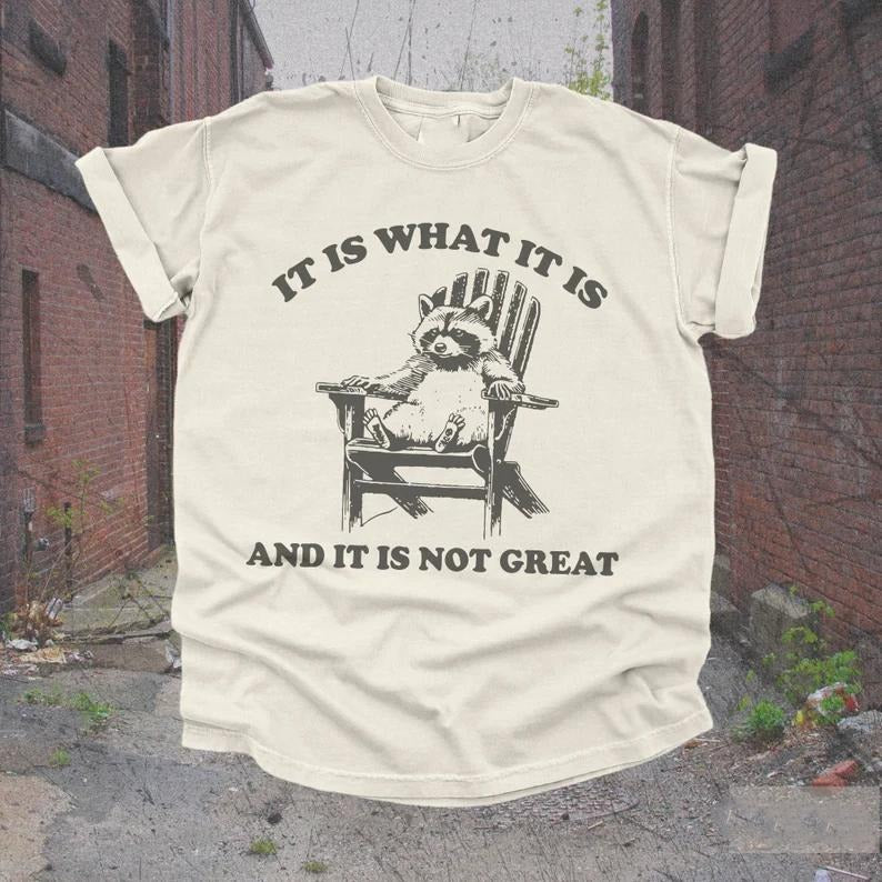Vintage 90s Funny Racoon TShirt and Sweater | Retro Oversized Y2K Humor Meme Shirt, Trendy Cute Boho Trashcore, Raccoon...