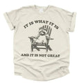 Vintage 90s Funny Racoon TShirt, Meme Shirt Classic Cotton Hoodie, Sweatshirt | GrindPrints.com