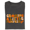 Vintage Growing A Little Pumpkin Graphic Tee, Pregnancy Announcement Gifts, ThanksGiving Shirt, Fall Season, Pumpkin...