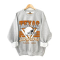 Vintage Texas Teams  Sweatshirt,Sweatshirt For Women and Men T-Shirts, Hoodie | GrindPrints.com