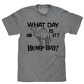 What Day Is It? Hump Day Camel T-Shirt - Gray Hoodie, Sweatshirt | GrindPrints.com