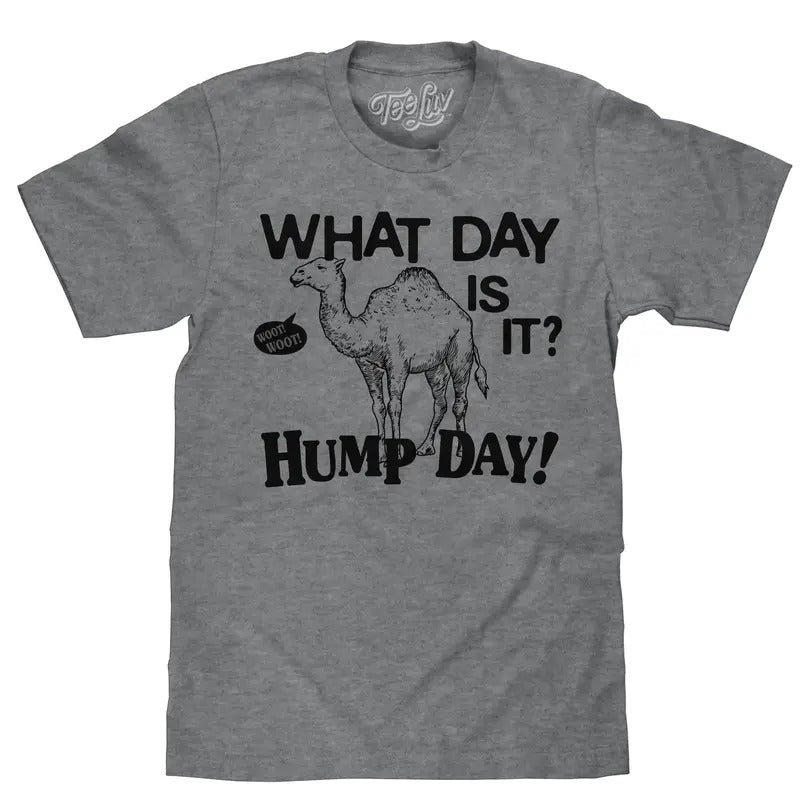 What Day Is It? Hump Day Camel T-Shirt - Gray Hoodie, Sweatshirt | GrindPrints.com