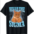 What The Sigma Meme Cat Ironic Brainrot T-Shirt Hoodie, Sweatshirt | GrindPrints.com