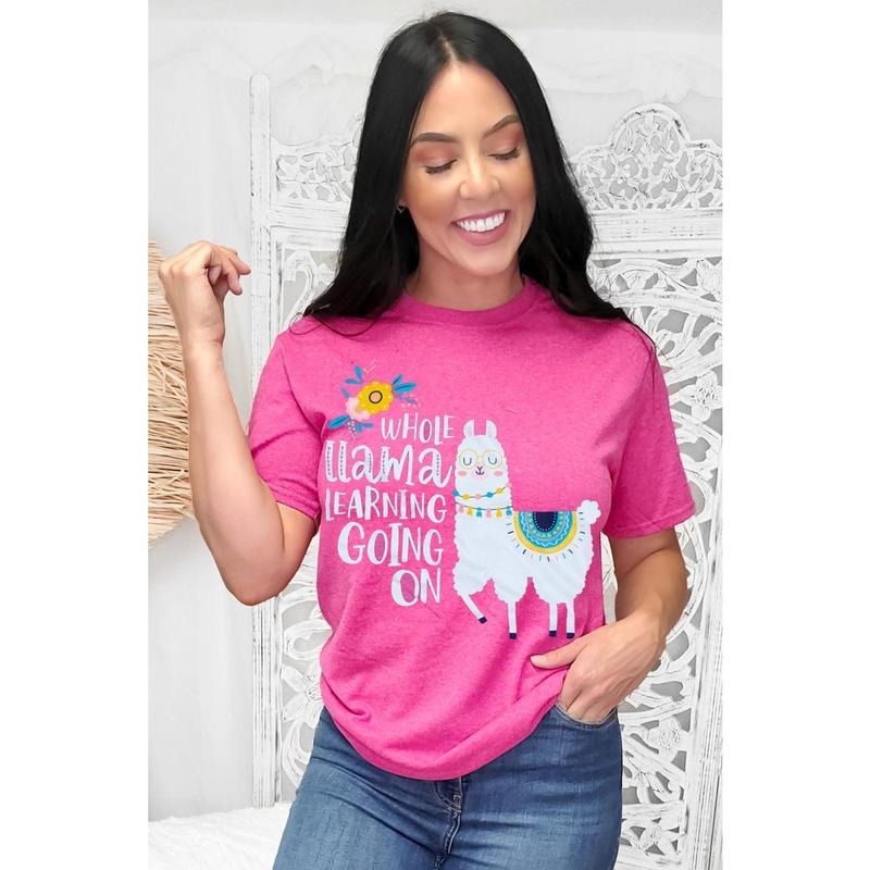 Whole Llama Learning Teacher T-Shirt Hoodie, Sweatshirt | GrindPrints.com