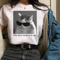 Why Are You Looking At Me Tshirt -cat meme shirt,cat shirts,funny shirt Hoodie, Sweatshirt | GrindPrints.com
