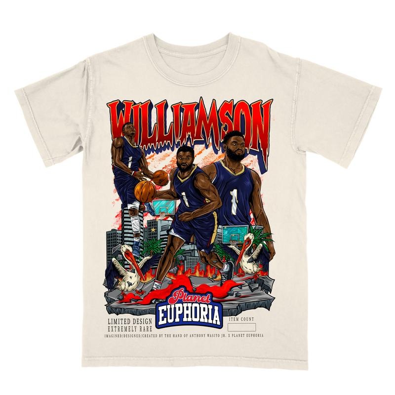 Zion Williamson Tee Hoodie, Sweatshirt | GrindPrints.com
